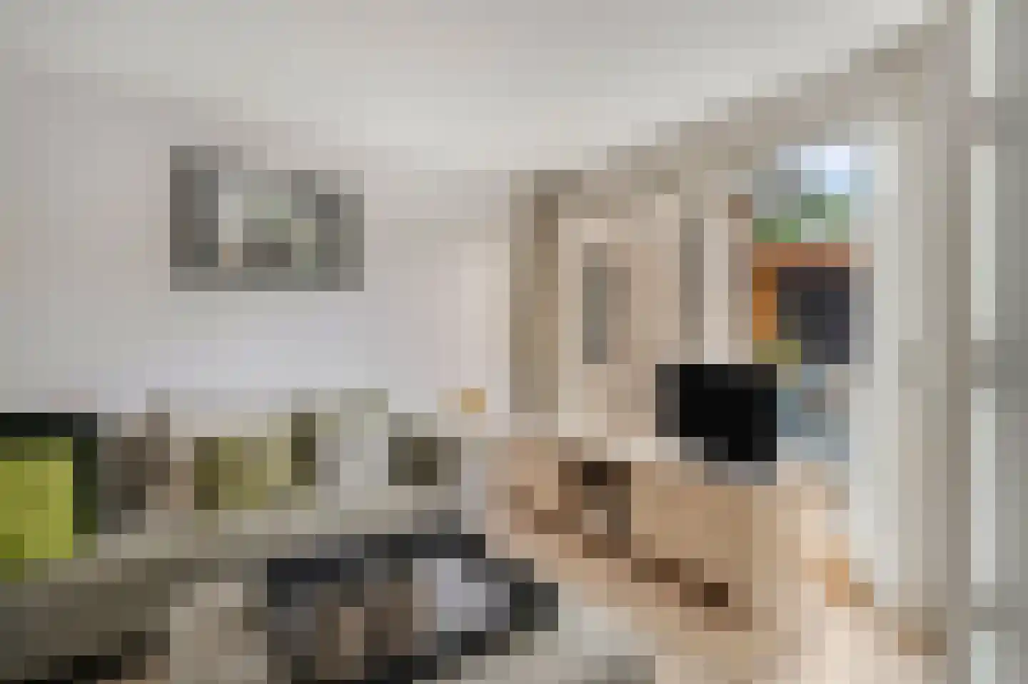 Candialaan 7 Rhenen thumbnail 10