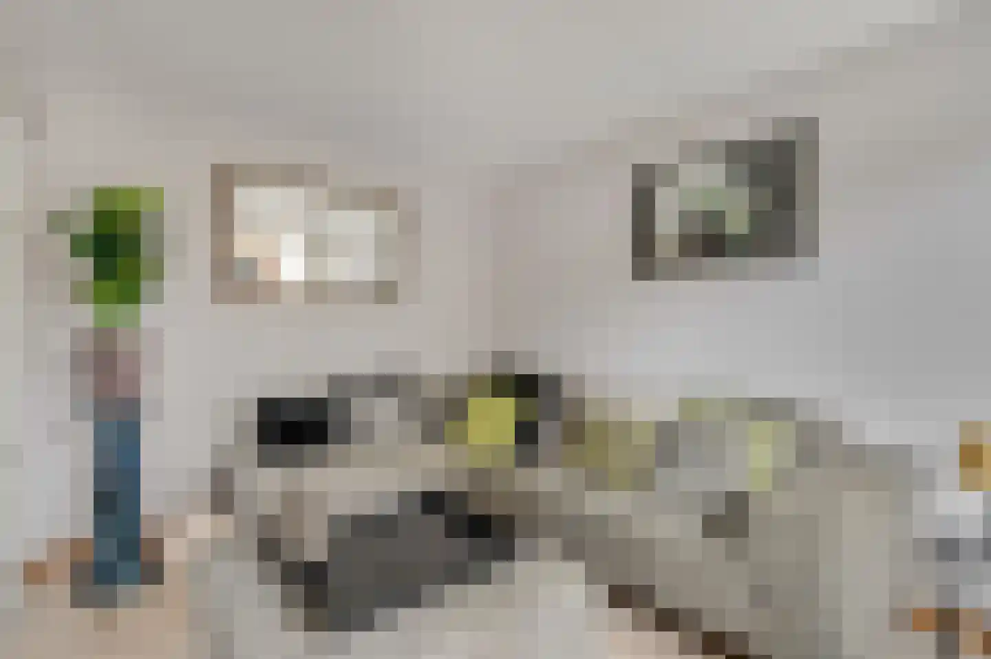 Candialaan 7 Rhenen thumbnail 11