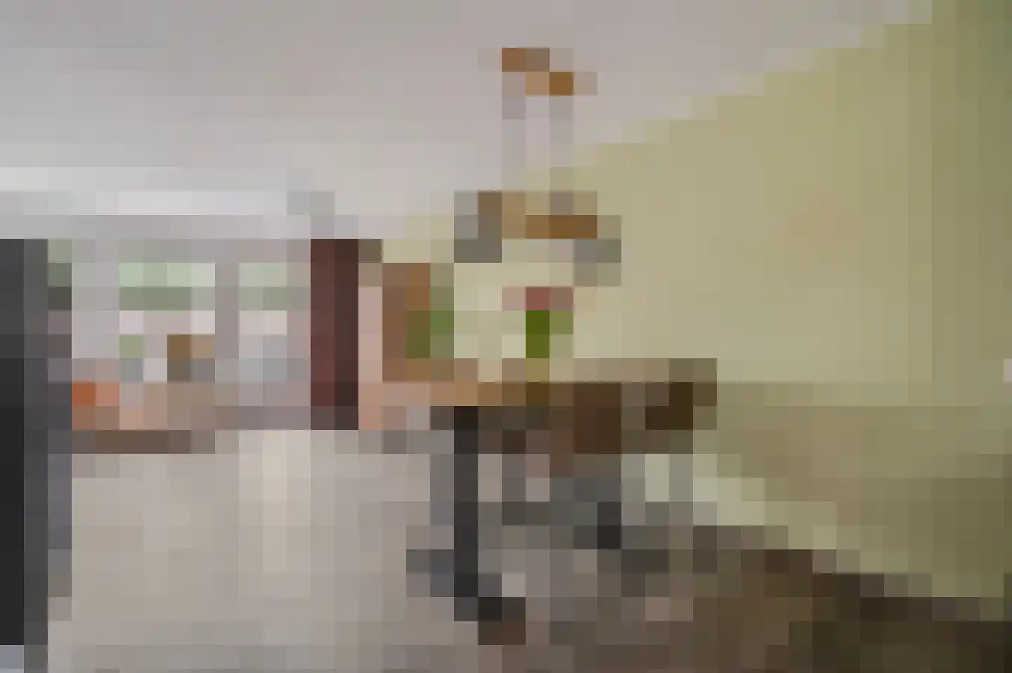 Candialaan 7 Rhenen thumbnail 13