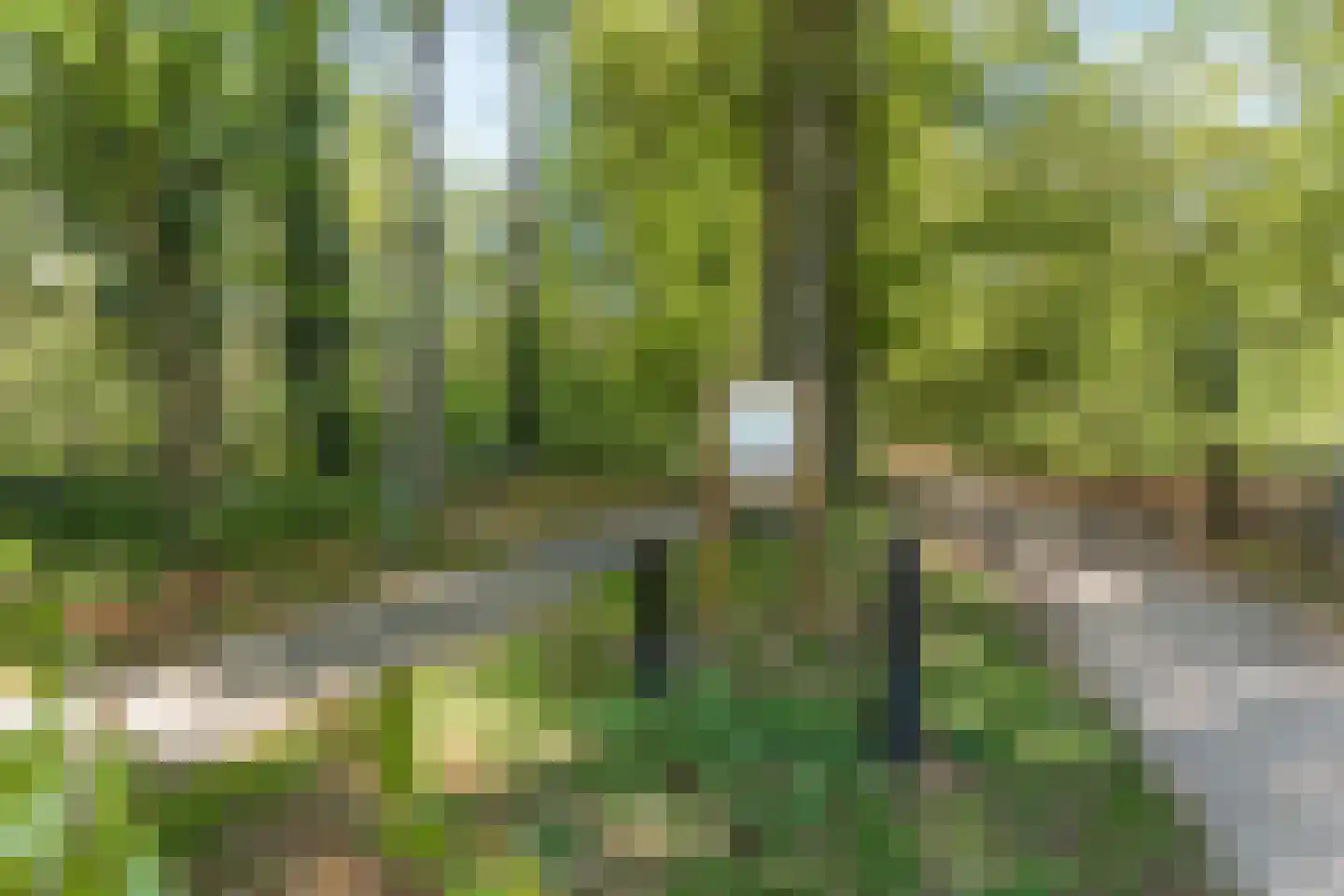 Candialaan 7 Rhenen thumbnail 35