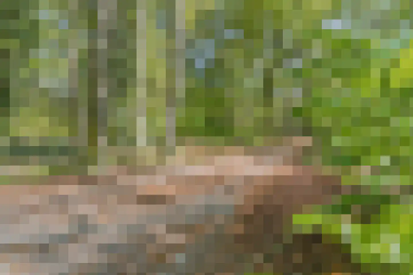 Candialaan 7 Rhenen thumbnail 4