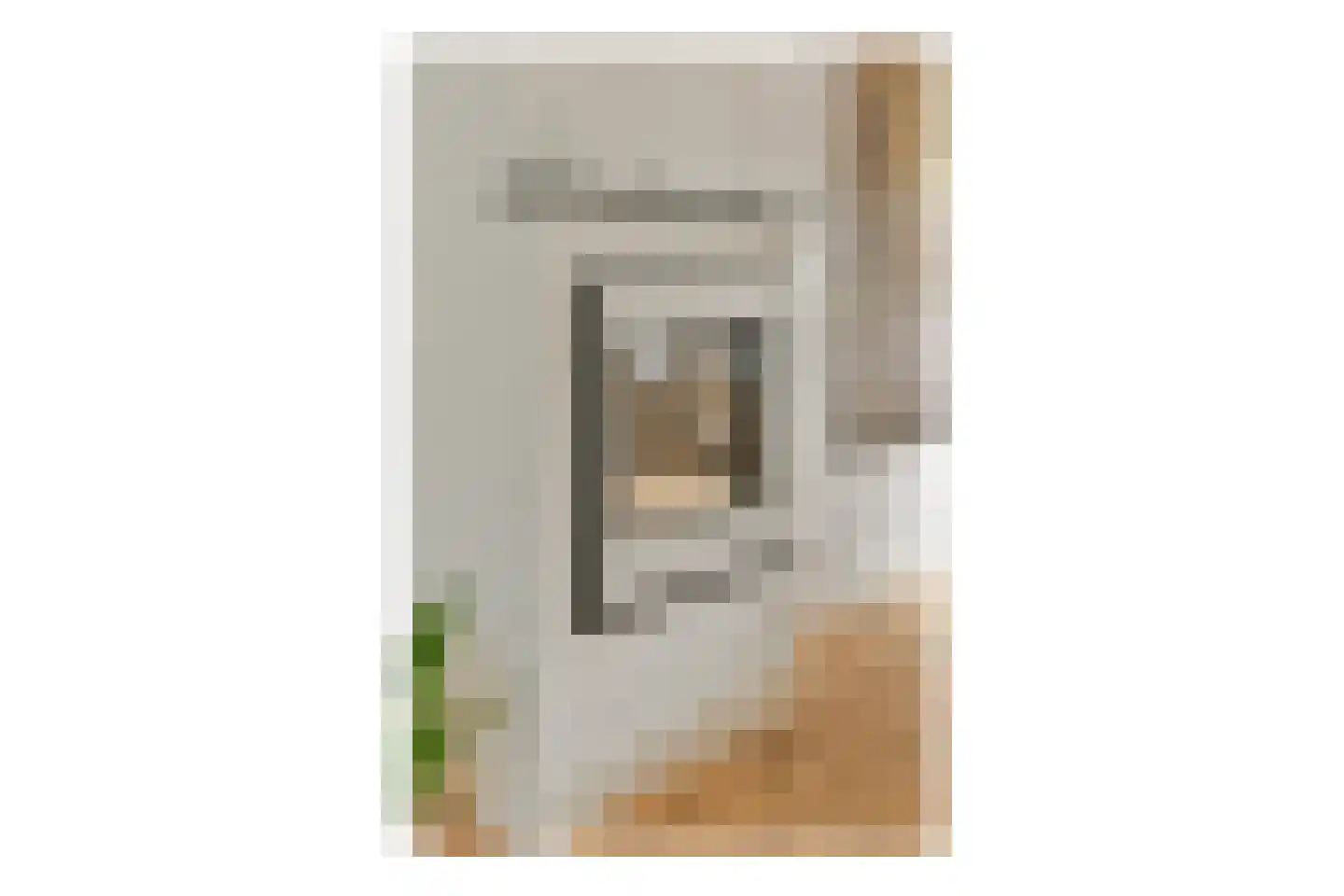 Caninefatenstraat 48 Haarlem thumbnail 11