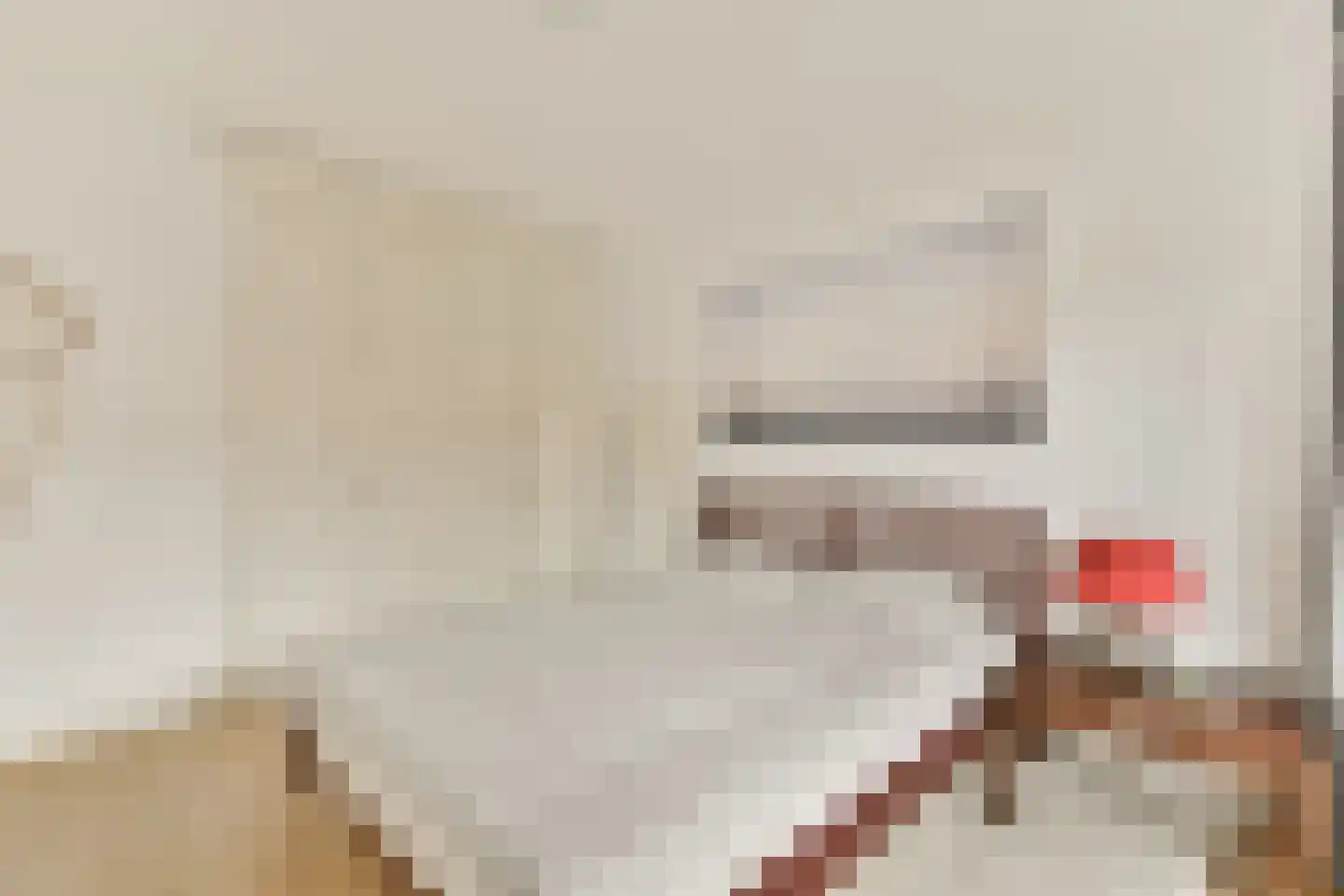 Caninefatenstraat 48 Haarlem thumbnail 19