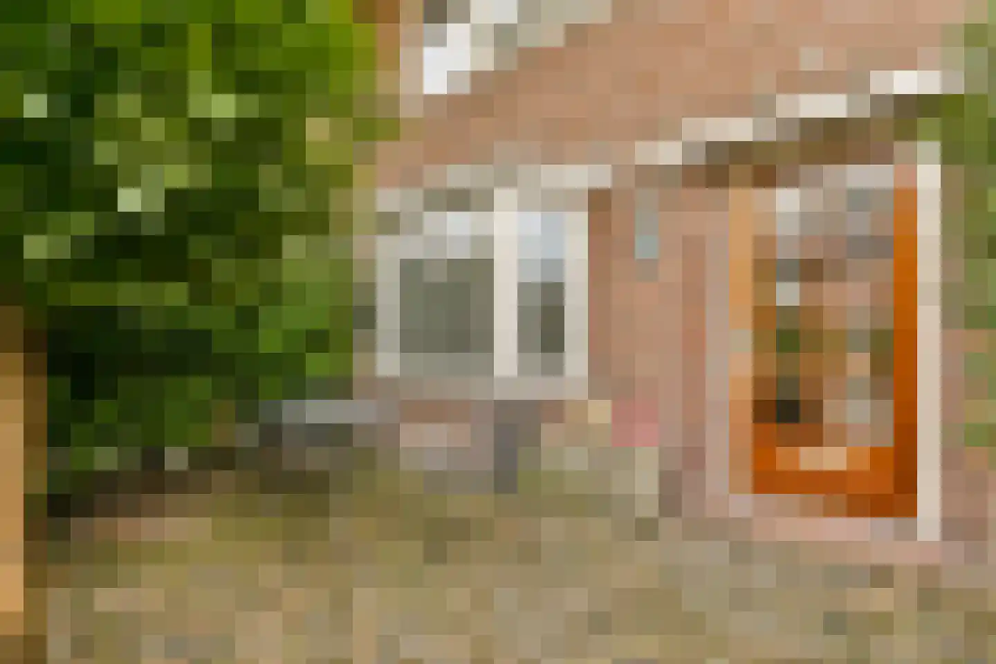 Caninefatenstraat 48 Haarlem thumbnail 6