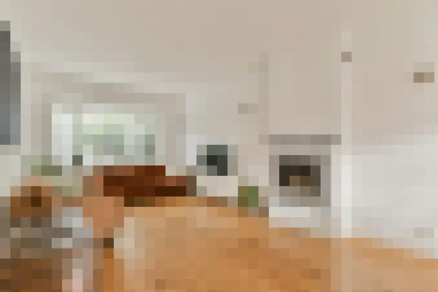 Caninefatenstraat 48 Haarlem thumbnail 8
