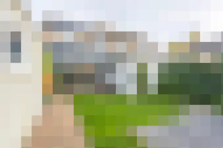 Canisiusstraat 3 Kerkrade thumbnail 19