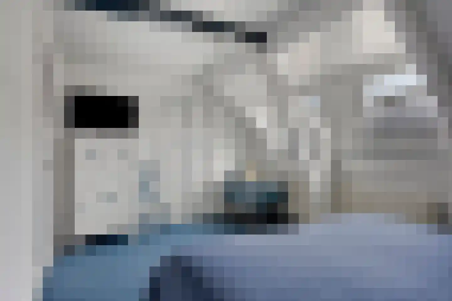 Canisiusstraat 3 Oisterwijk thumbnail 24