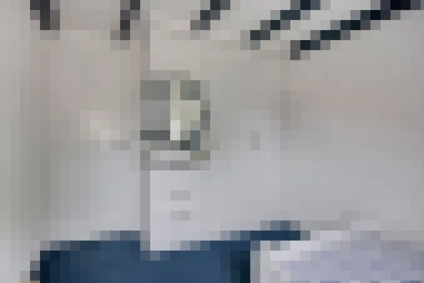 Canisiusstraat 3 Oisterwijk thumbnail 26