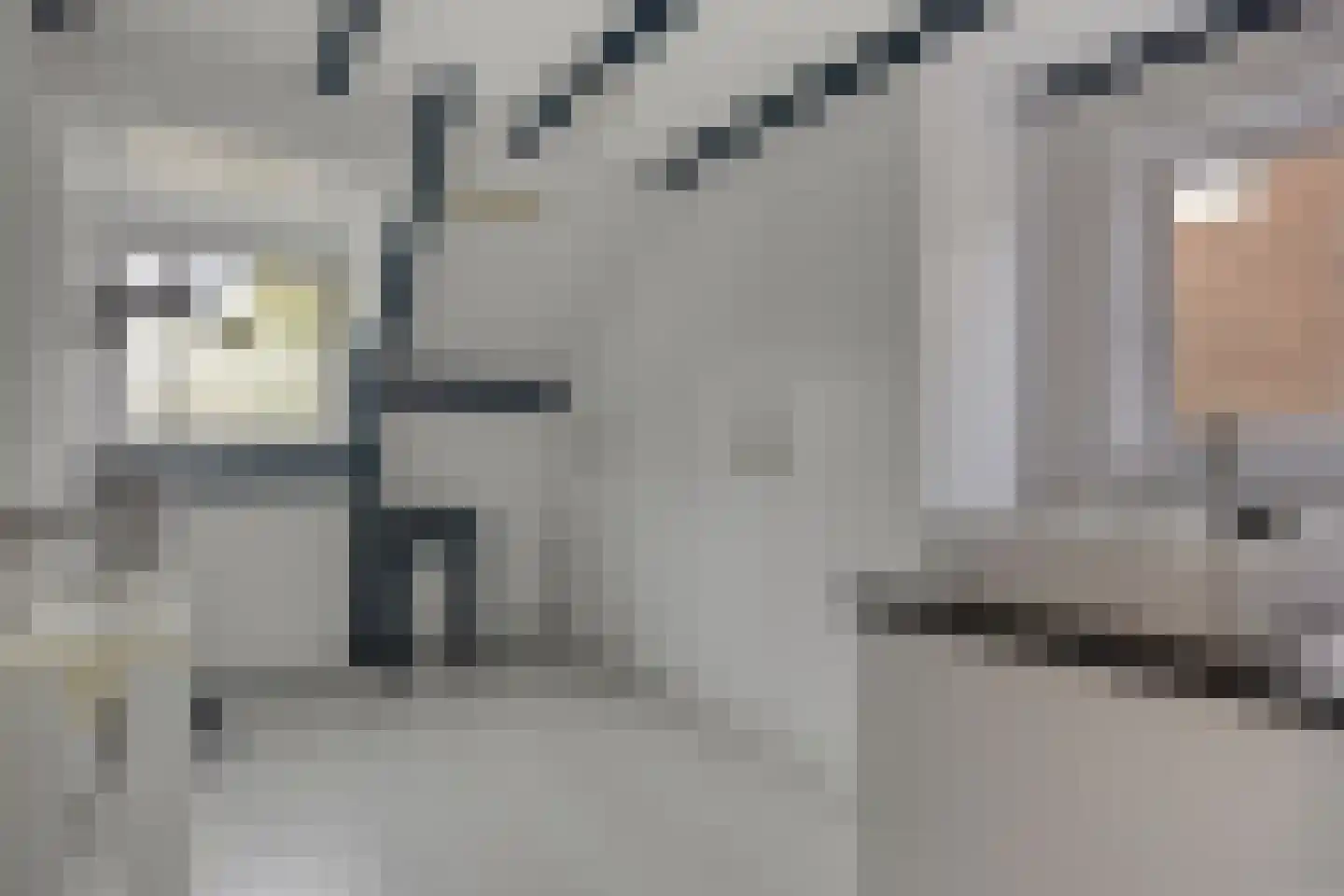 Canisiusstraat 3 Oisterwijk thumbnail 27