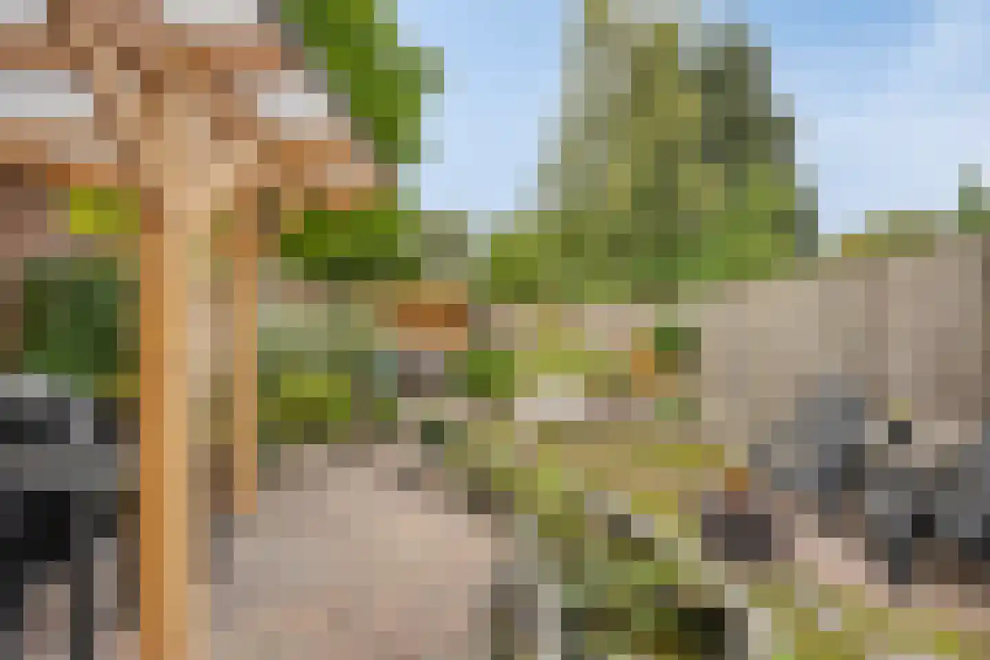 Canisiusstraat 3 Oisterwijk thumbnail 30