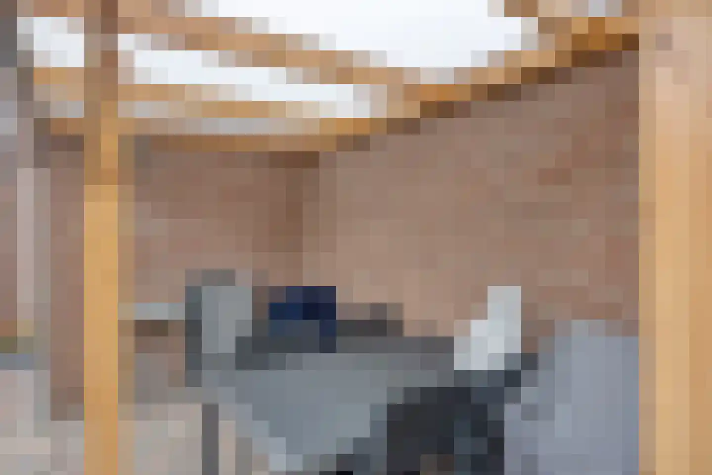 Canisiusstraat 3 Oisterwijk thumbnail 33
