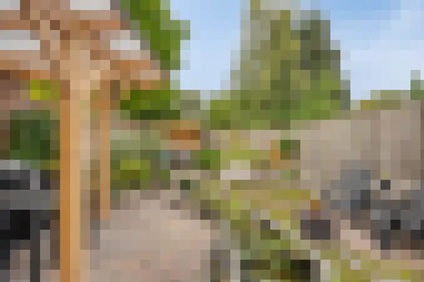Canisiusstraat 3 Oisterwijk thumbnail 4