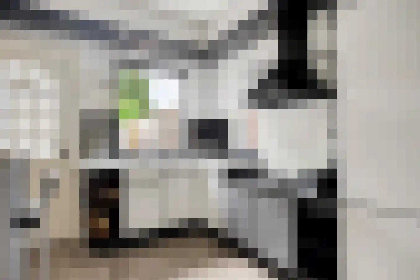 Canisiusstraat 3 Oisterwijk thumbnail 6