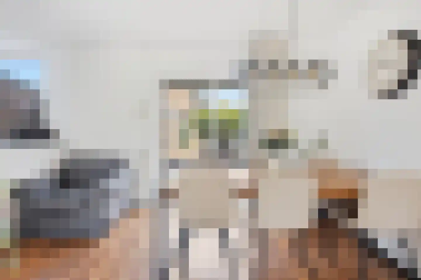Canisplein 3 Huissen thumbnail 12