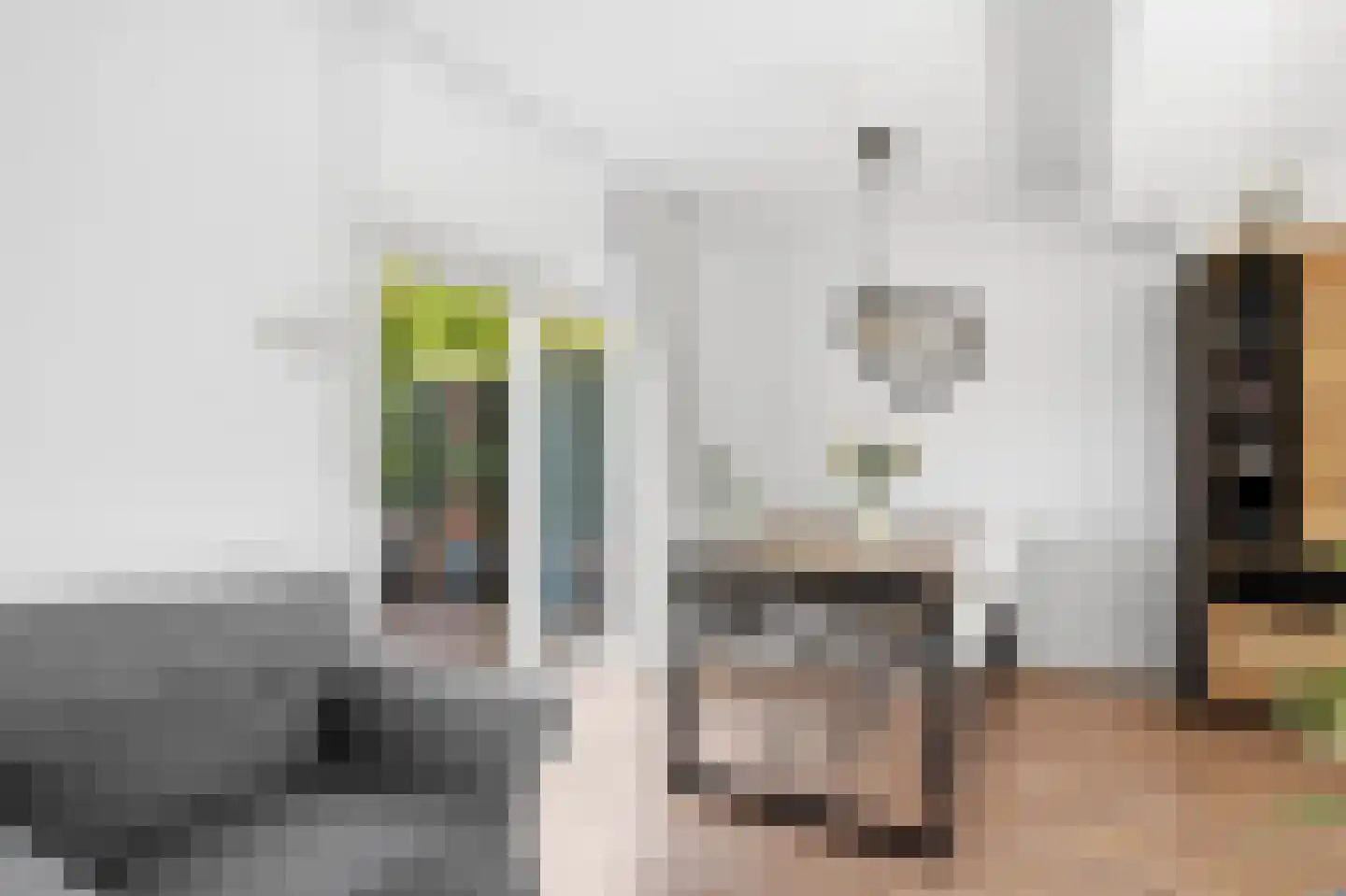 Canisplein 3 Huissen thumbnail 13