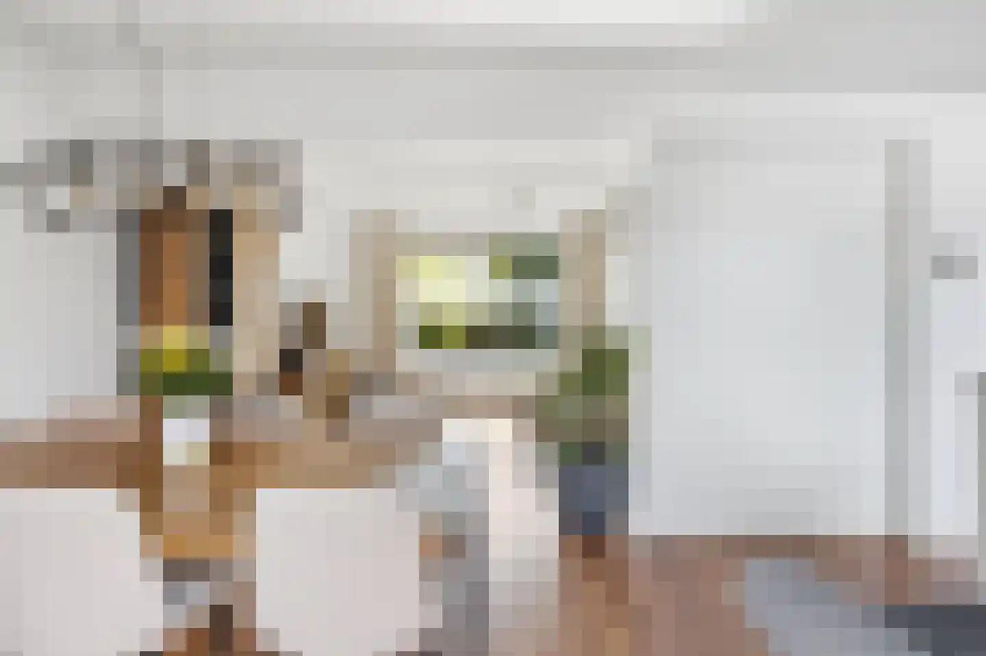 Canisplein 3 Huissen thumbnail 14