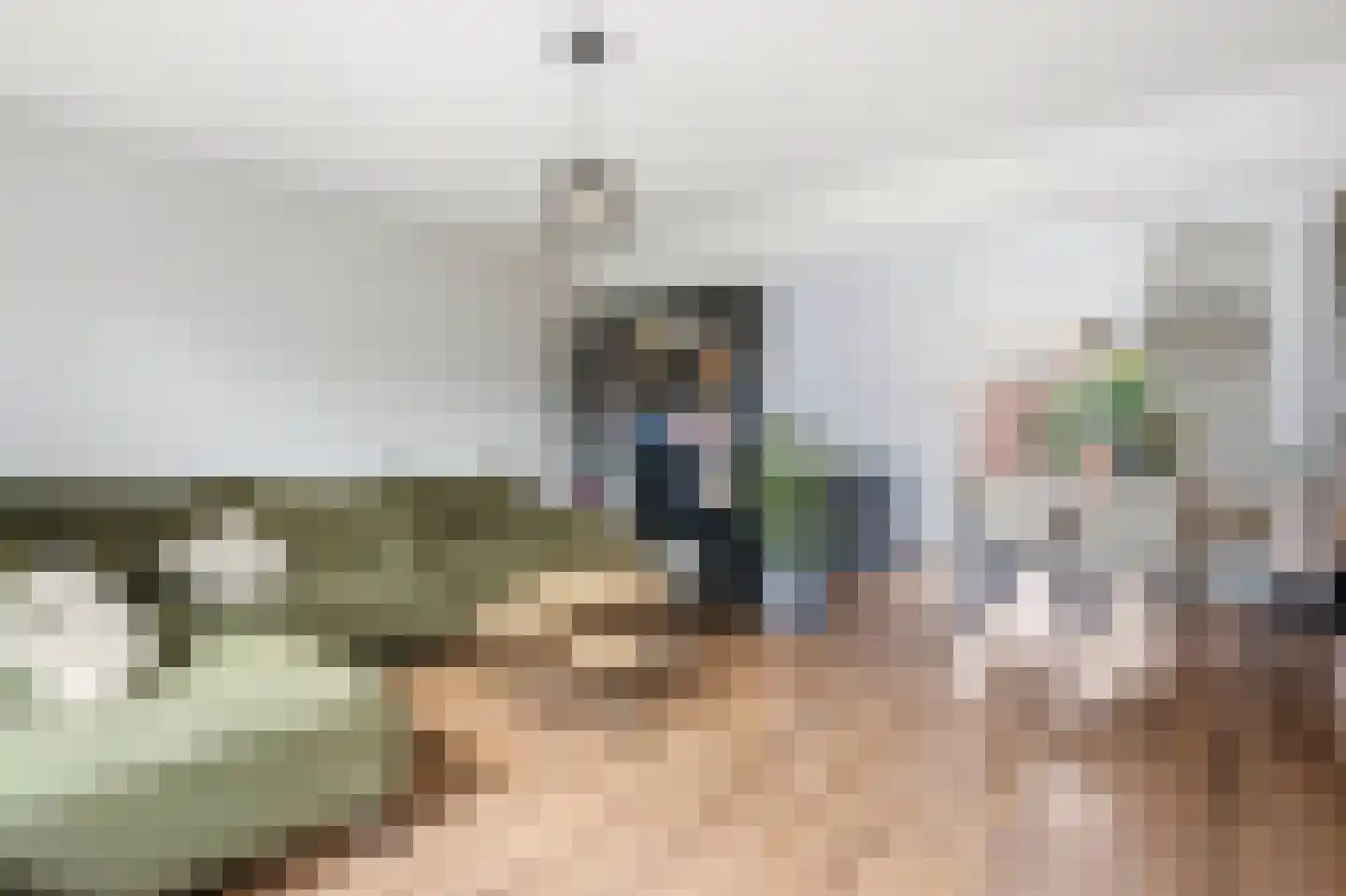 Canisplein 3 Huissen thumbnail 16