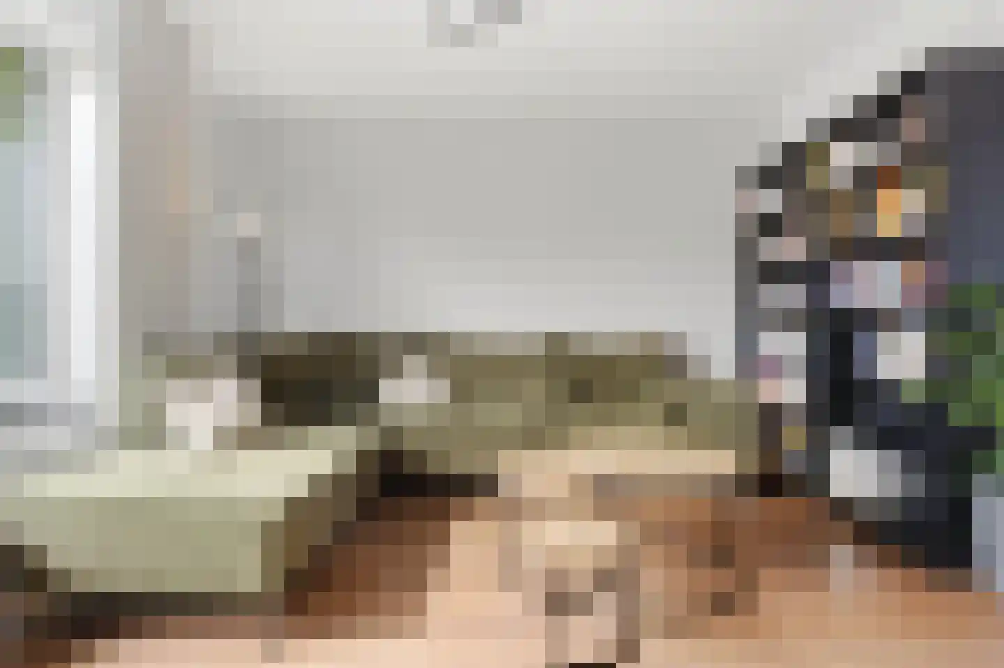 Canisplein 3 Huissen thumbnail 18