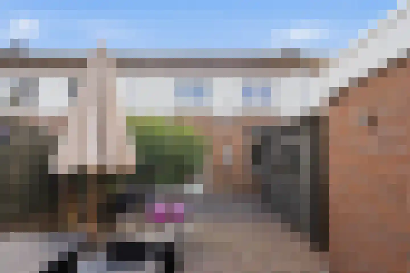 Canisplein 3 Huissen thumbnail 29