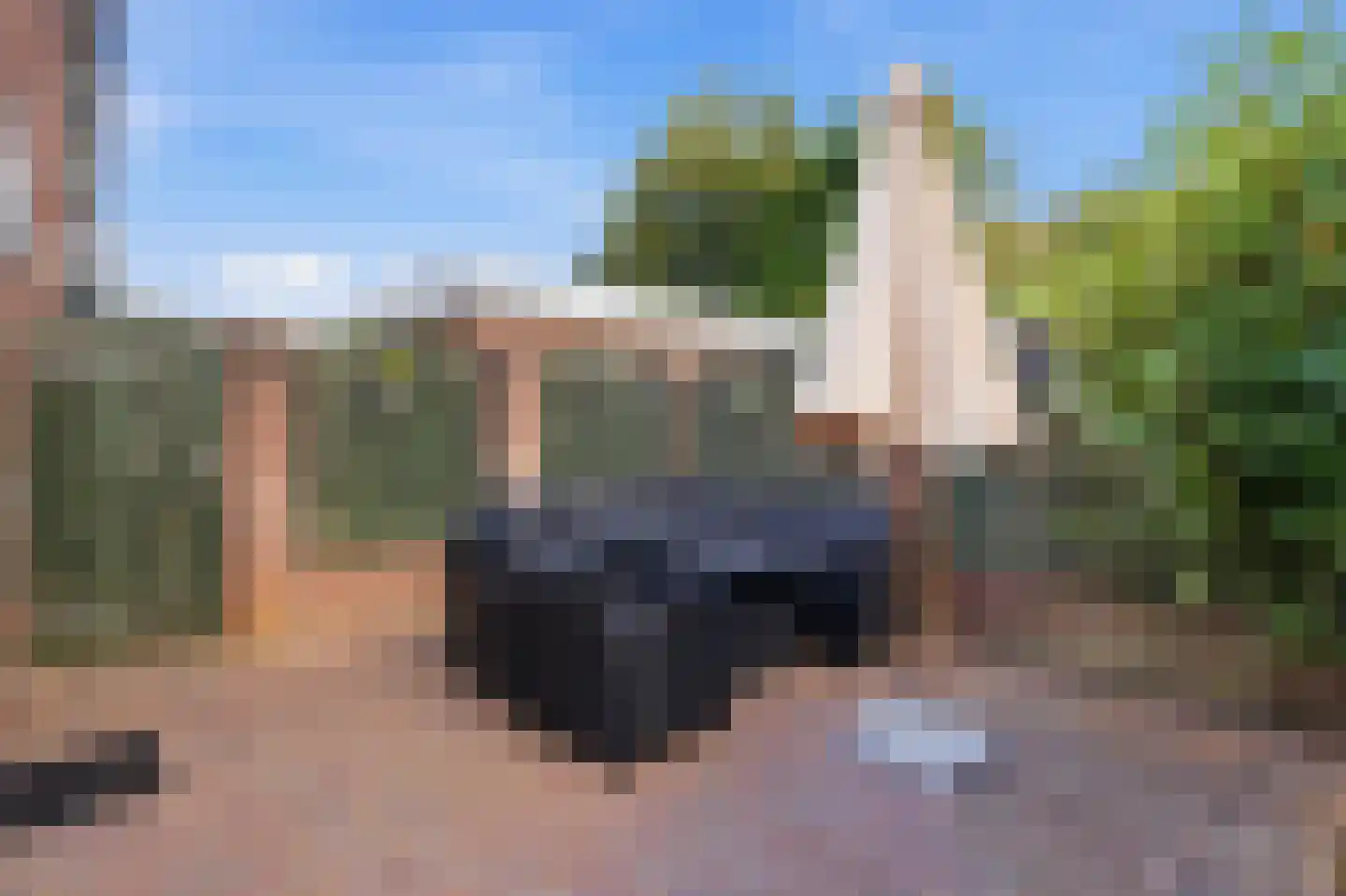 Canisplein 3 Huissen thumbnail 30