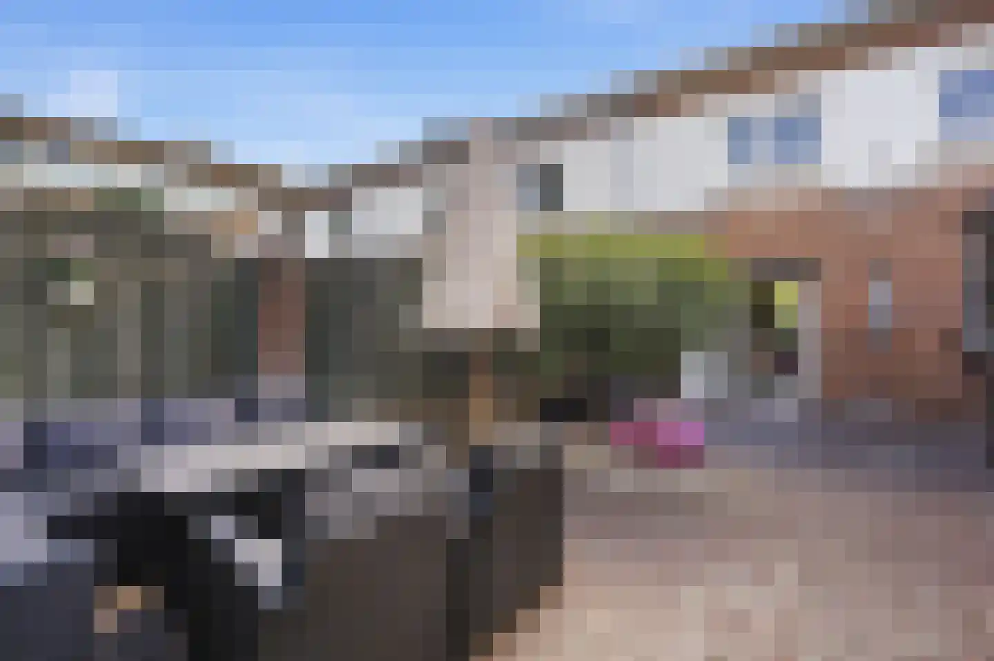 Canisplein 3 Huissen thumbnail 31