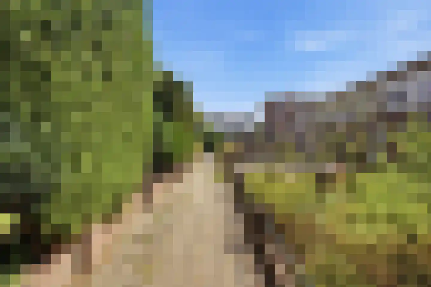 Canisplein 3 Huissen thumbnail 4