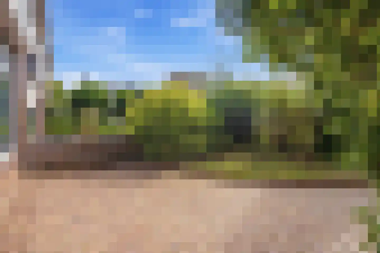 Canisplein 3 Huissen thumbnail 6