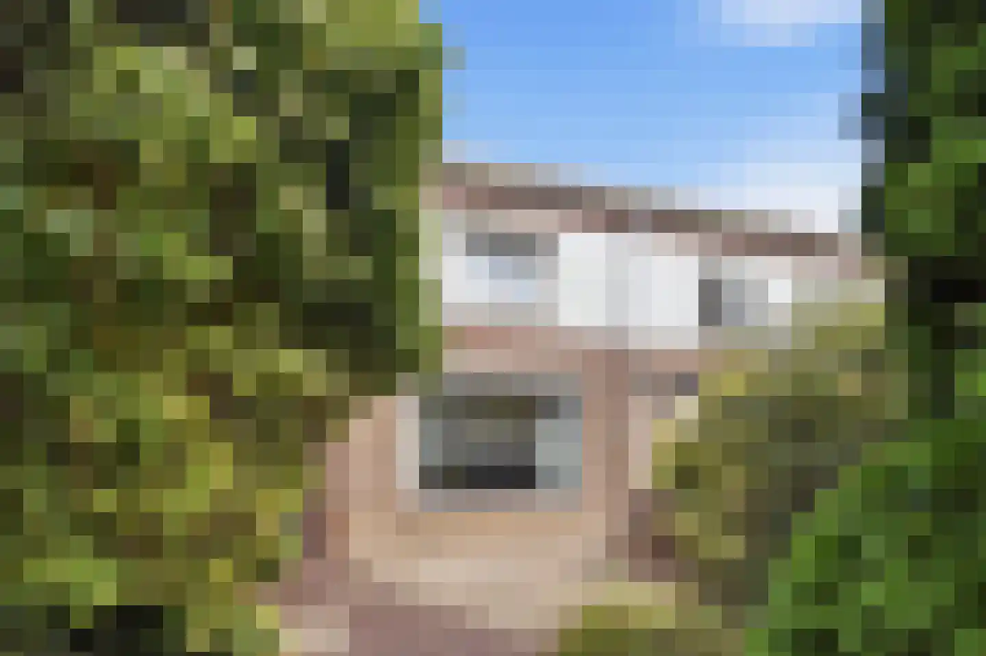 Canisplein 3 Huissen thumbnail 7