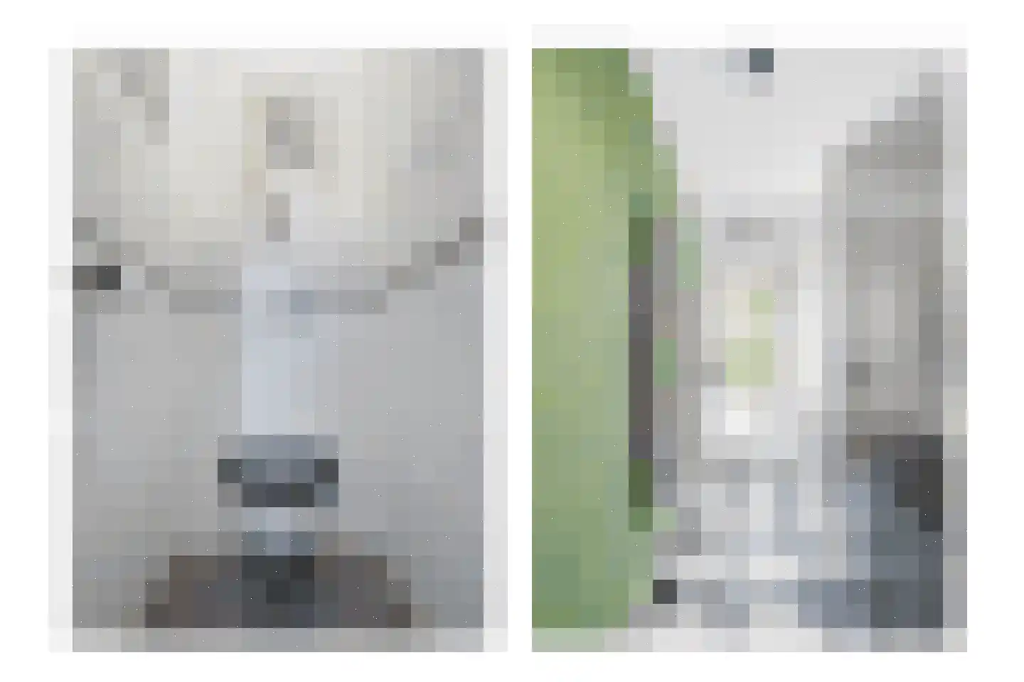 Canisplein 3 Huissen thumbnail 8