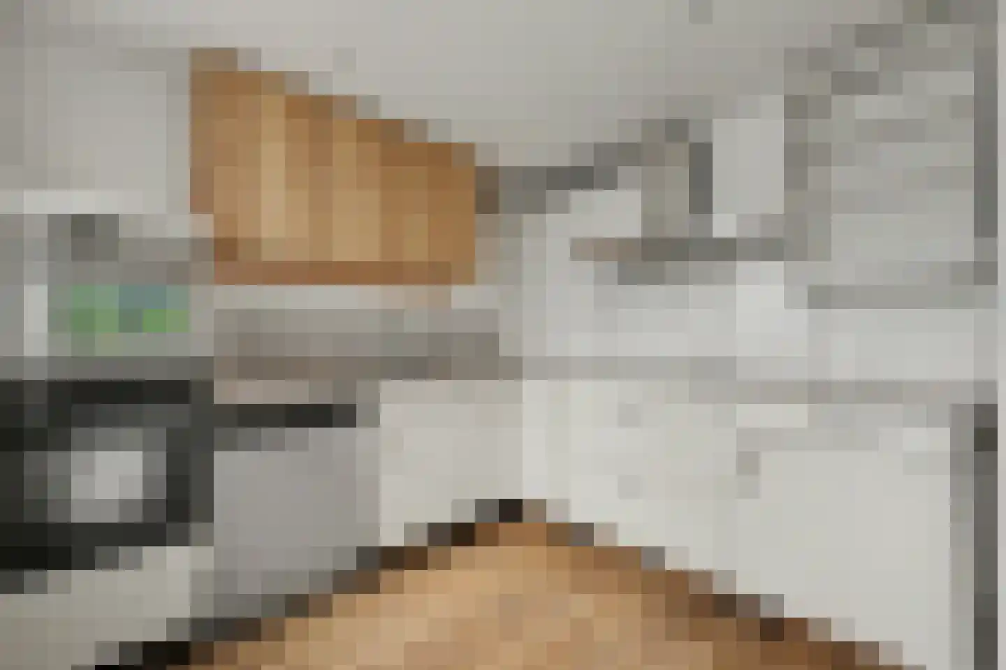 Canisplein 4 Huissen thumbnail 11