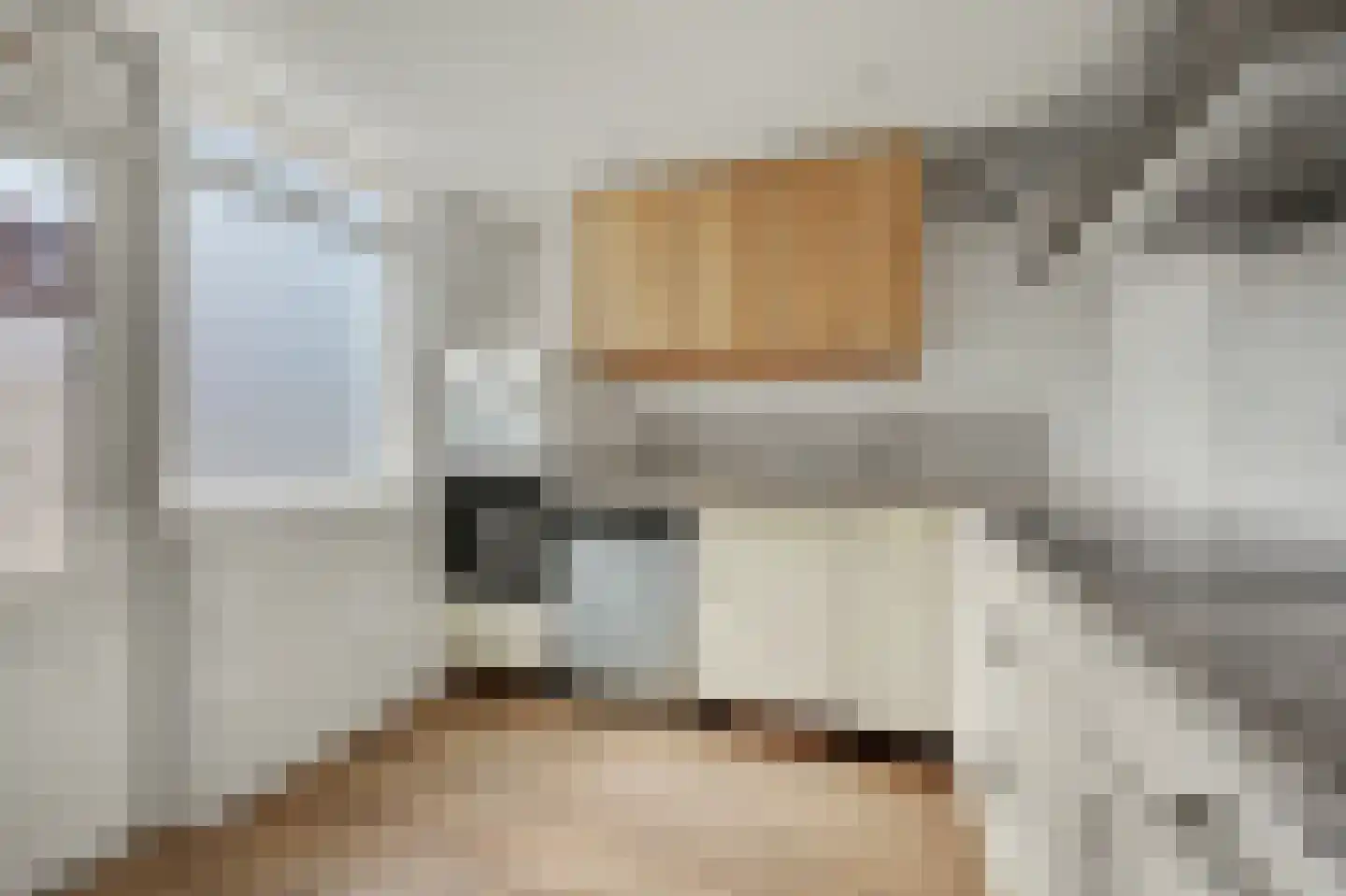 Canisplein 4 Huissen thumbnail 12