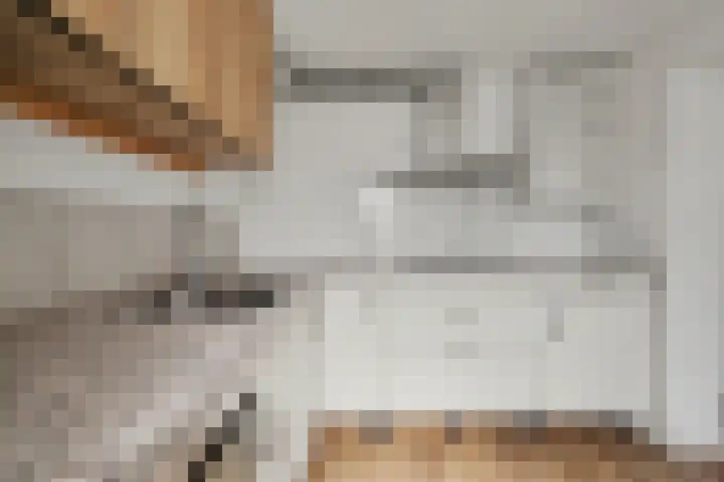 Canisplein 4 Huissen thumbnail 13