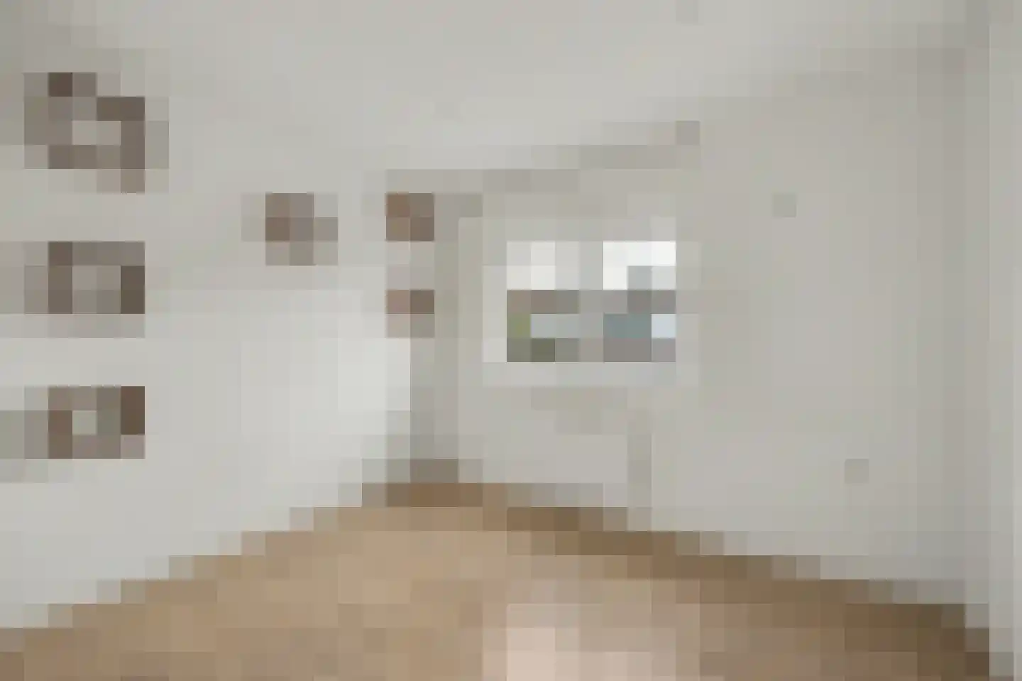 Canisplein 4 Huissen thumbnail 16