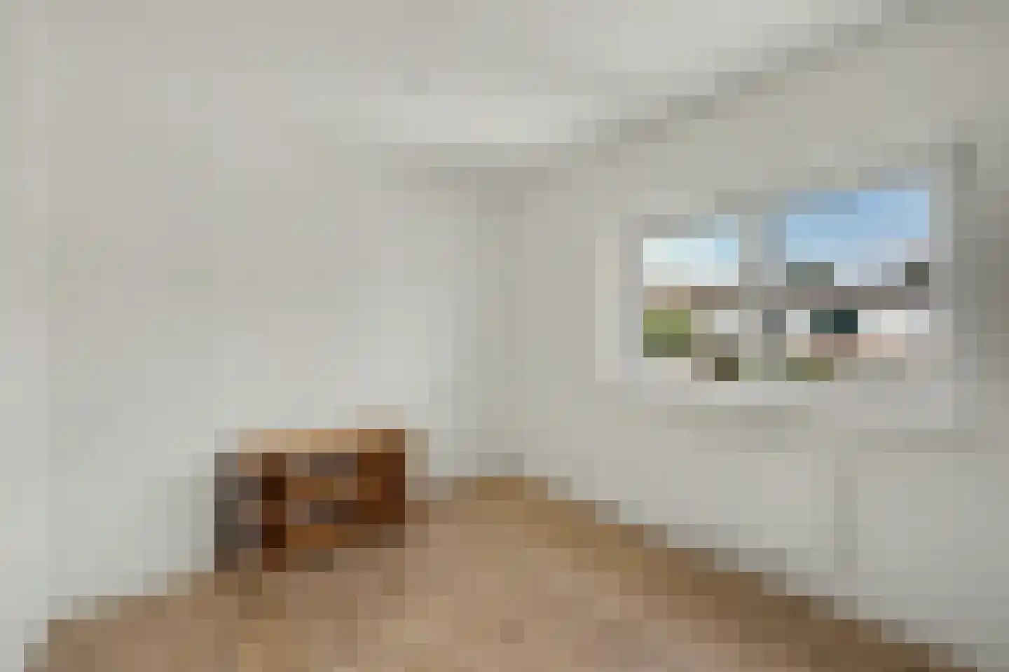 Canisplein 4 Huissen thumbnail 22