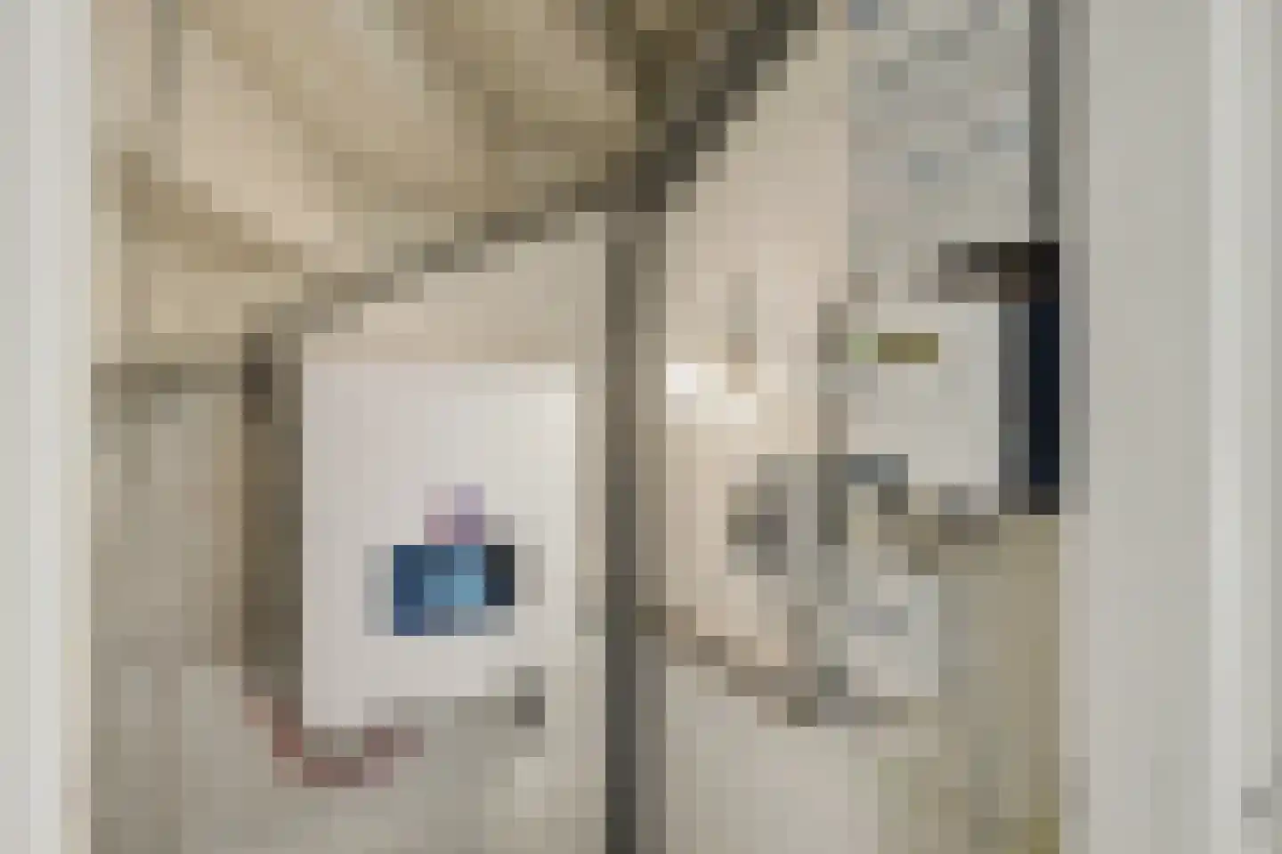 Canisplein 4 Huissen thumbnail 26
