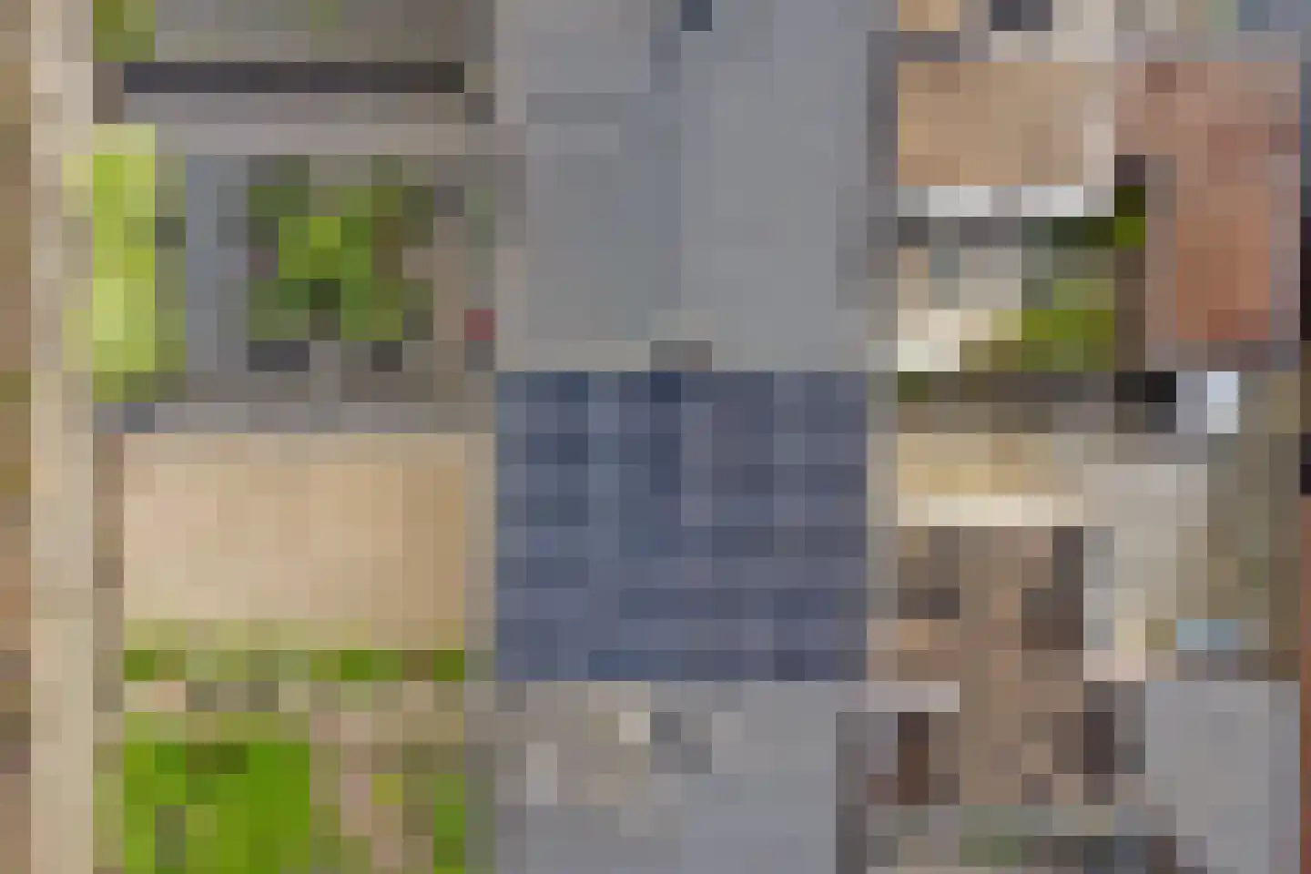 Canisplein 4 Huissen thumbnail 36
