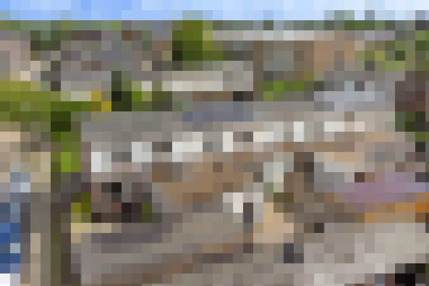 Canisplein 4 Huissen thumbnail 38