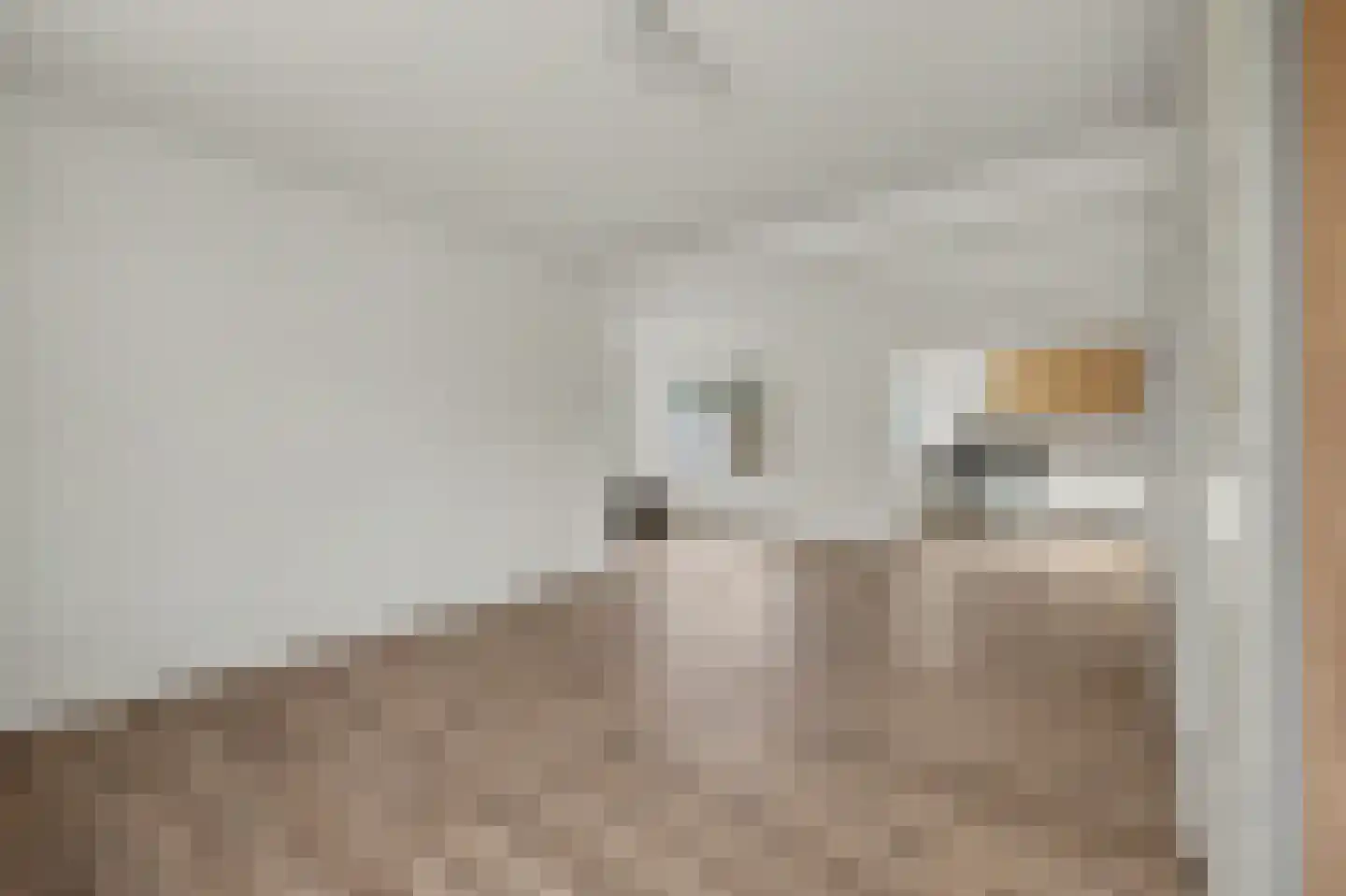 Canisplein 4 Huissen thumbnail 4