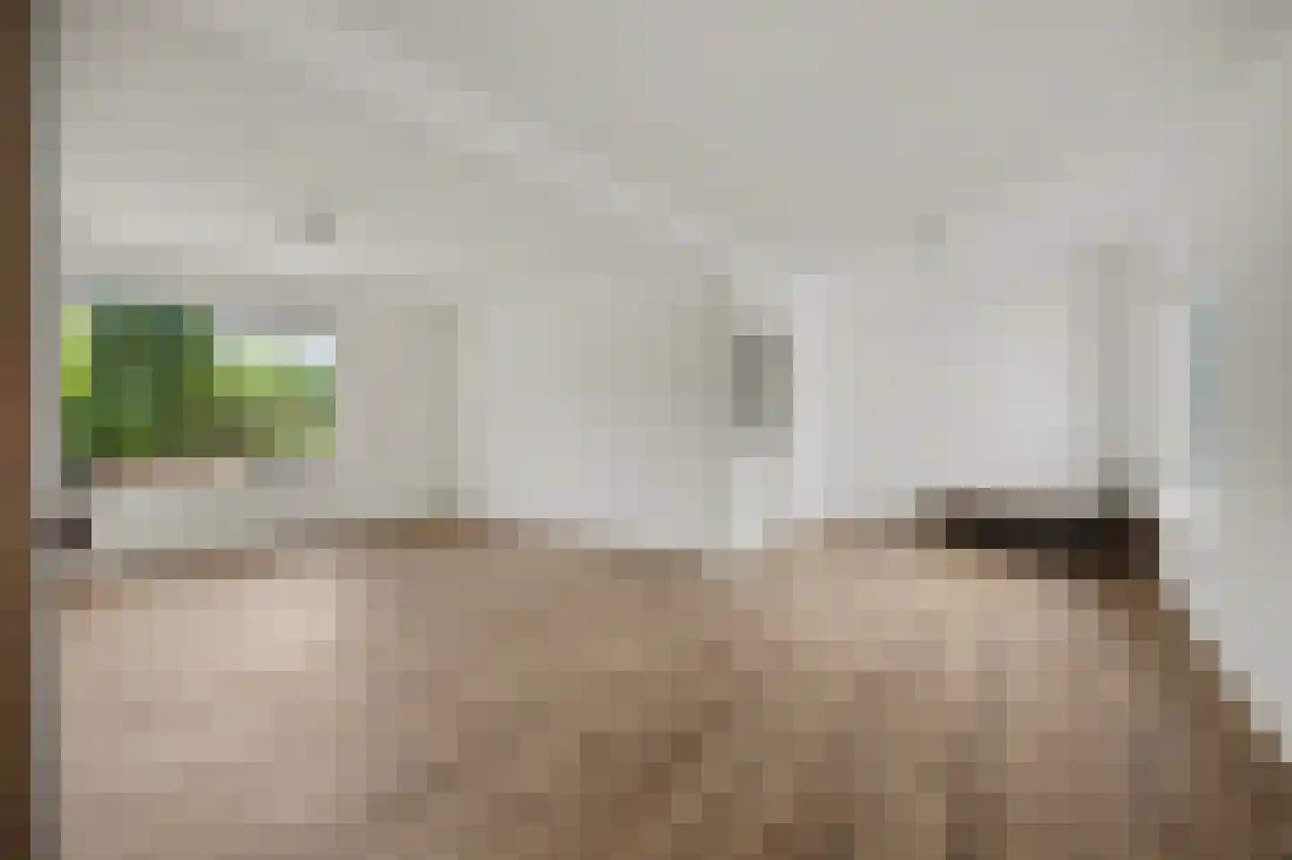 Canisplein 4 Huissen thumbnail 6