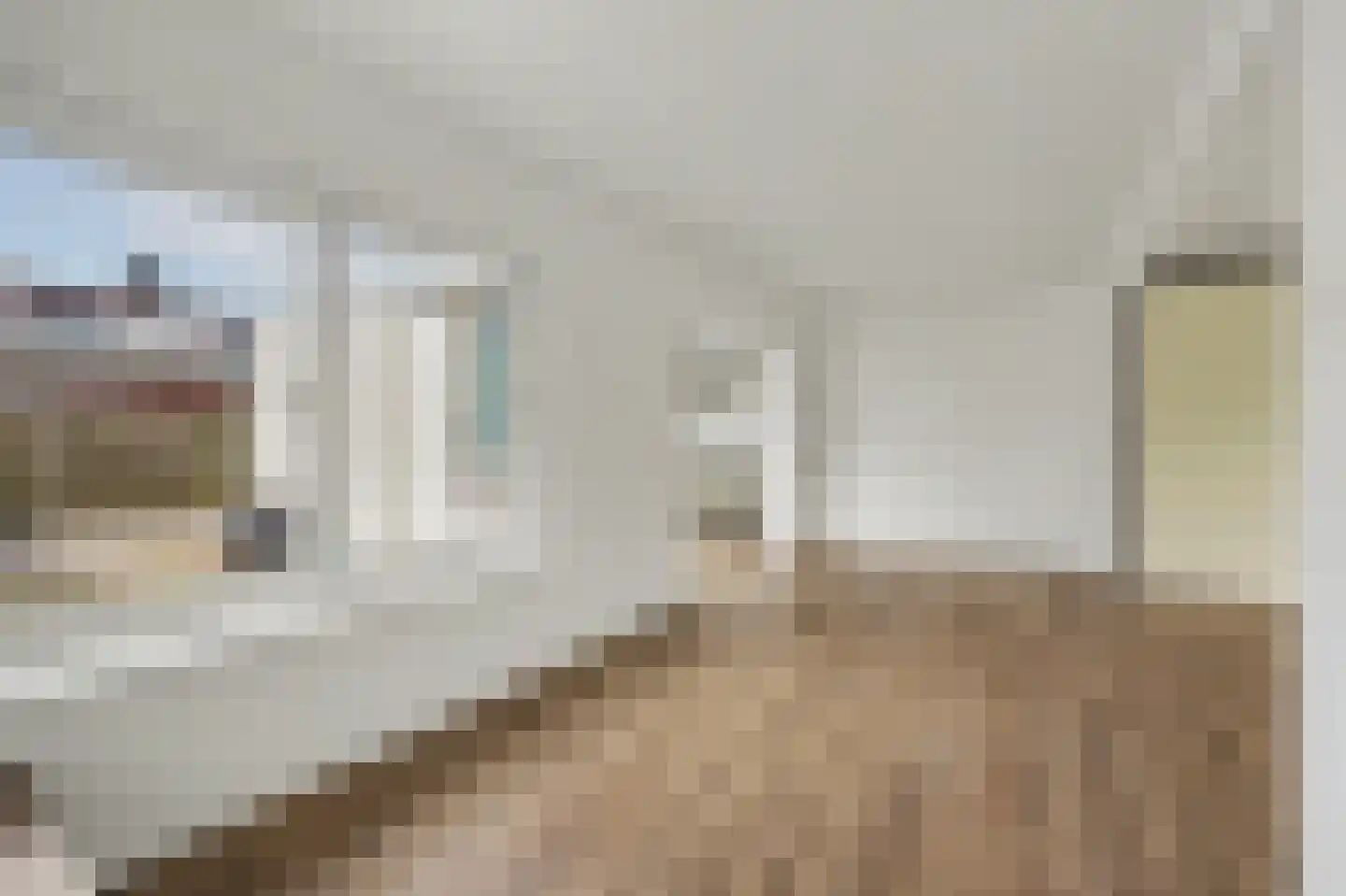 Canisplein 4 Huissen thumbnail 8