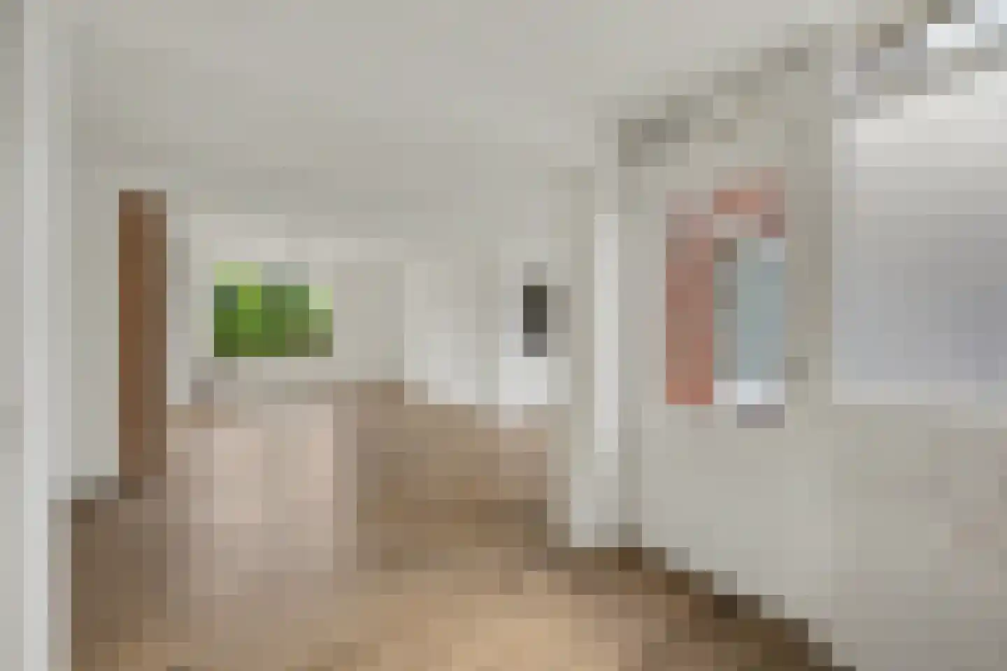 Canisplein 4 Huissen thumbnail 9