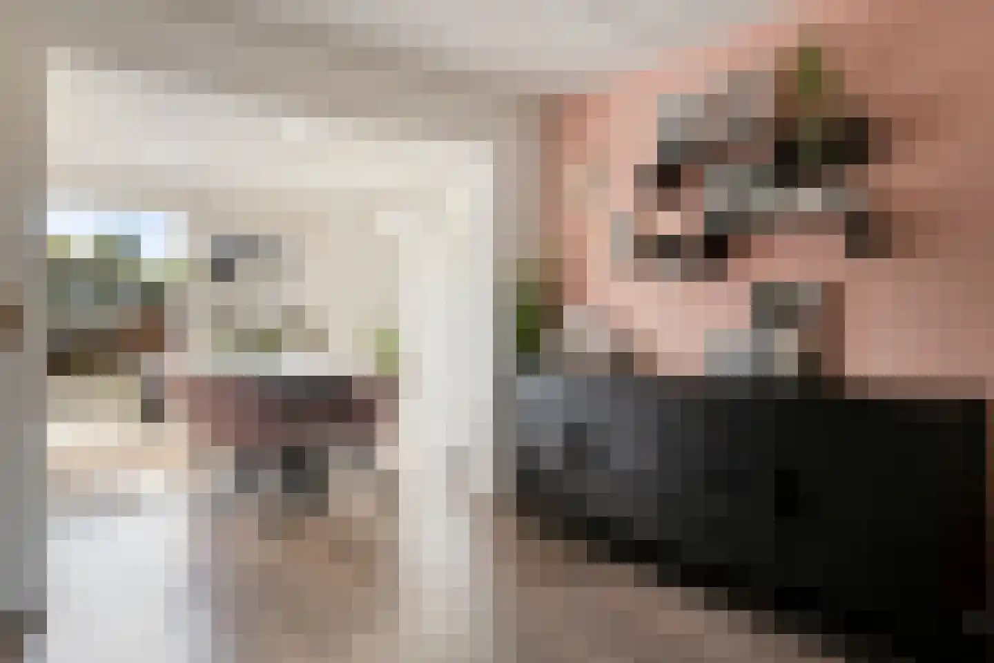 Canisvlietstraat 27 Sluiskil thumbnail 10