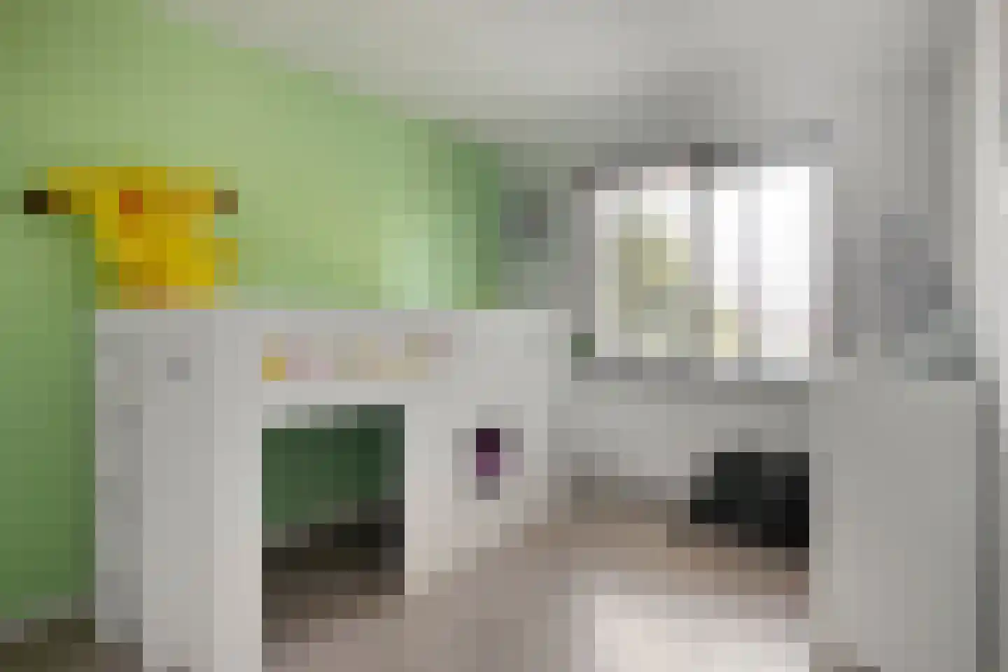Canisvlietstraat 27 Sluiskil thumbnail 12