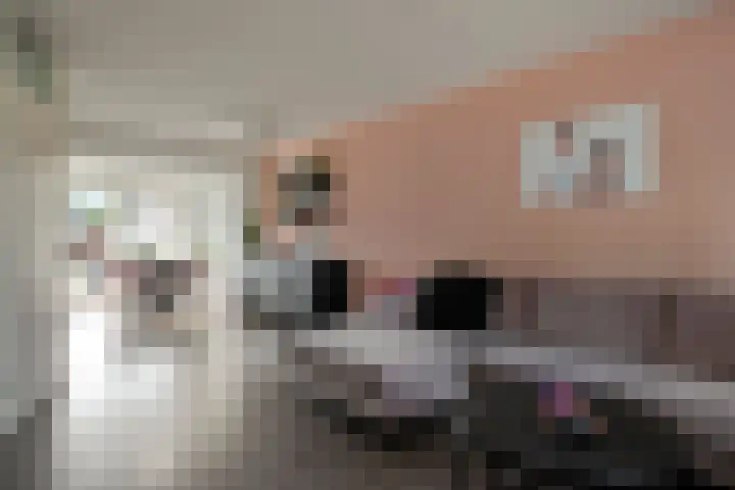 Canisvlietstraat 27 Sluiskil thumbnail 8