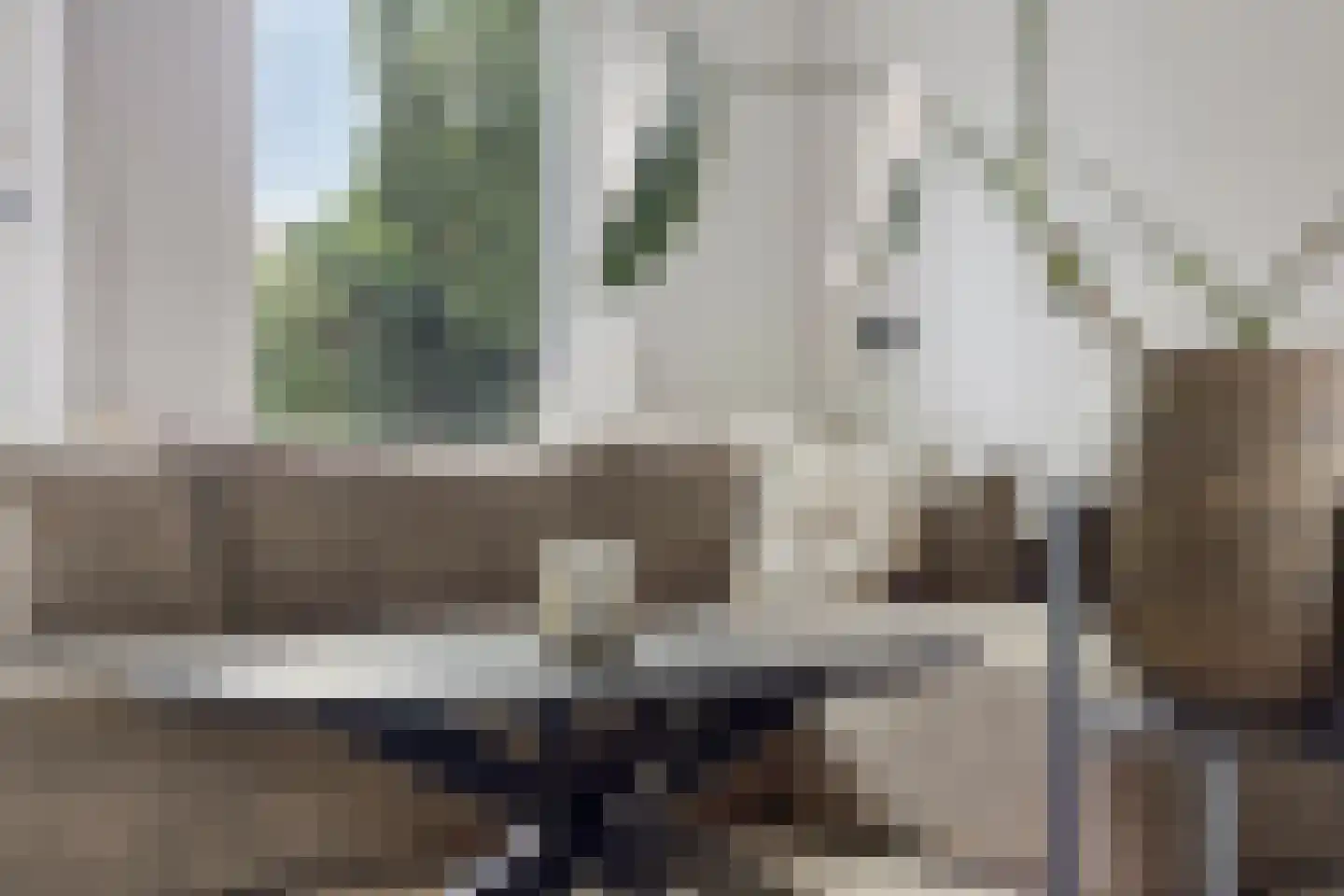 Canisvlietstraat 31 Sluiskil thumbnail 12