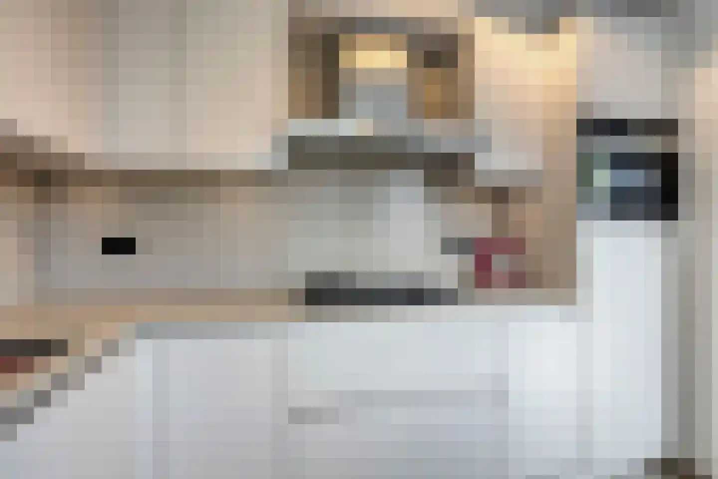 Canisvlietstraat 31 Sluiskil thumbnail 14