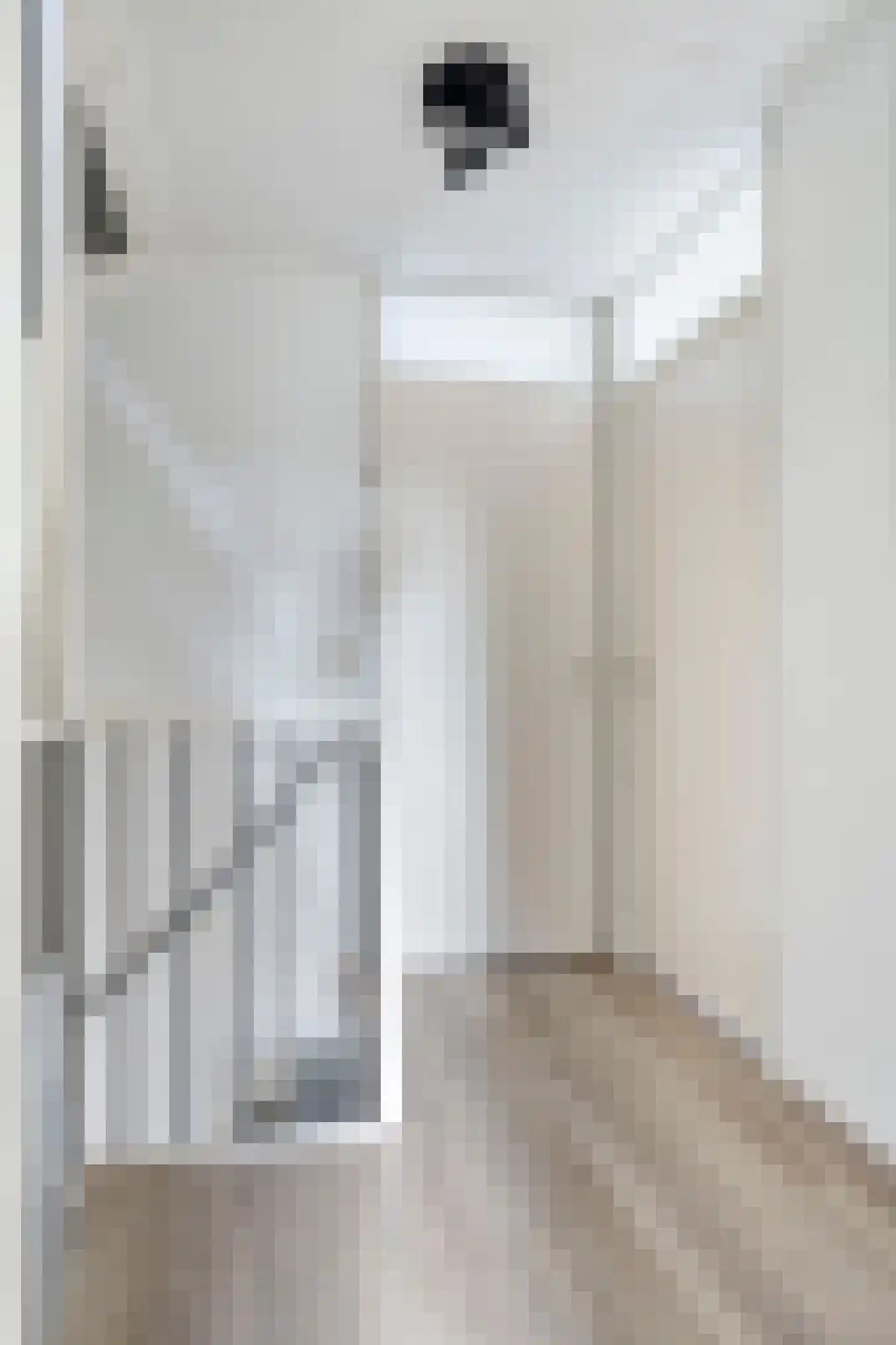 Canisvlietstraat 31 Sluiskil thumbnail 16