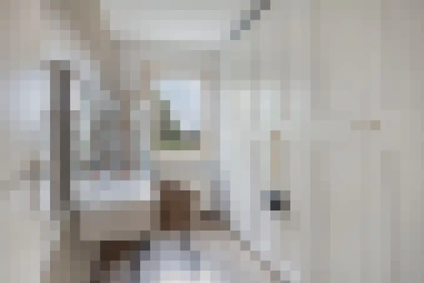 Canisvlietstraat 31 Sluiskil thumbnail 17
