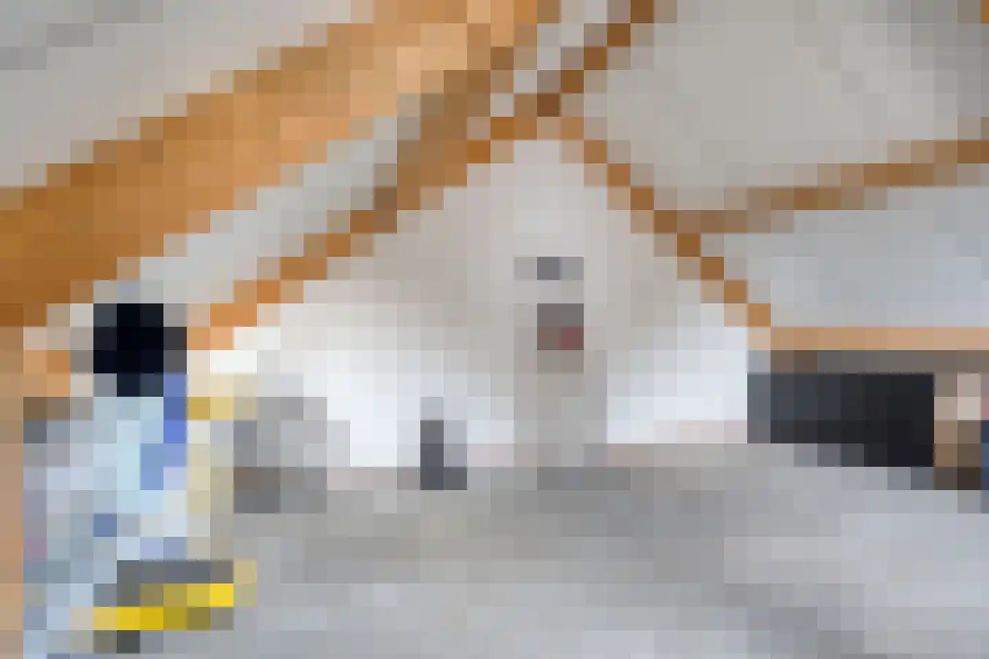Canisvlietstraat 31 Sluiskil thumbnail 26