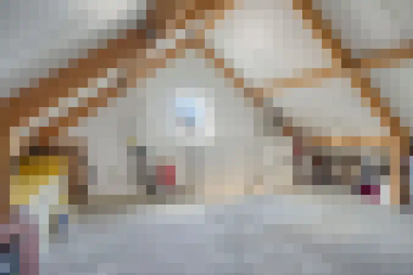 Canisvlietstraat 31 Sluiskil thumbnail 27